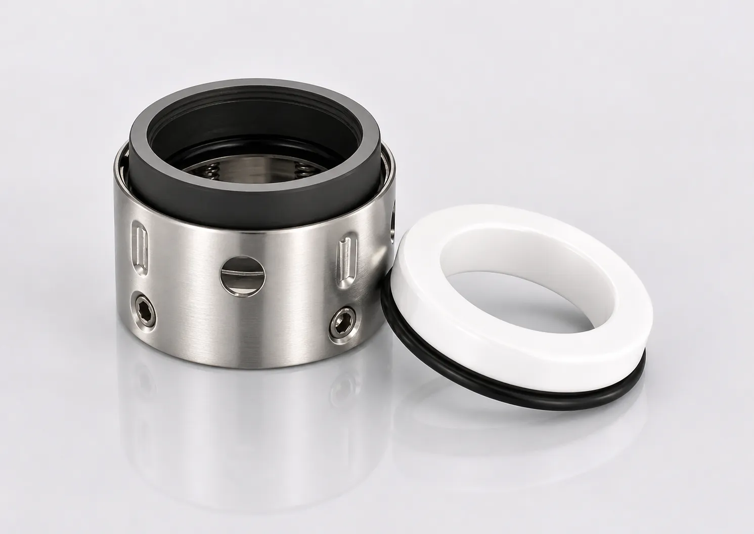 8-1 Mechanical Seal